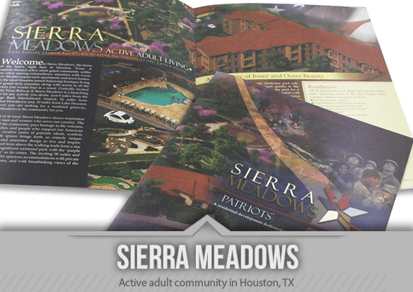 Flyer and Brochure Design