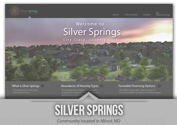 Website for Community